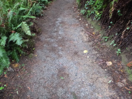 Trail has occasional blacktop with loose gravel and dirt